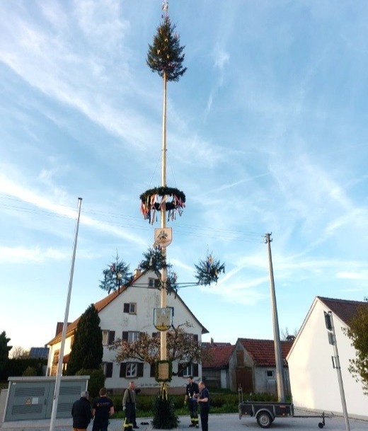 Maibaumstellen 4